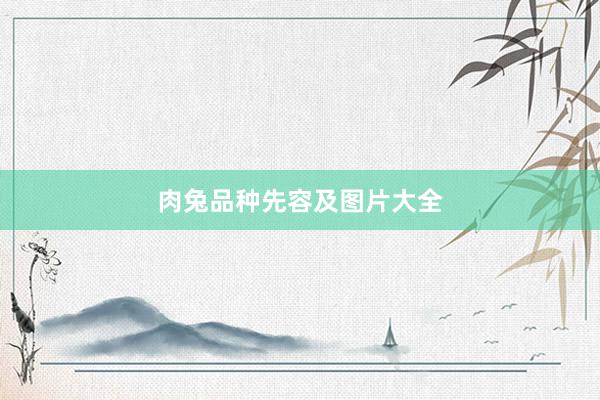 肉兔品种先容及图片大全