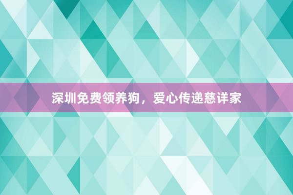 深圳免费领养狗，爱心传递慈详家