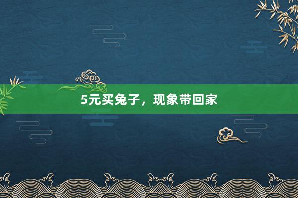 5元买兔子，现象带回家
